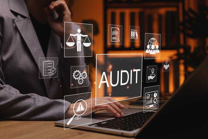 Auditing facilitation services for businesses in the UAE
